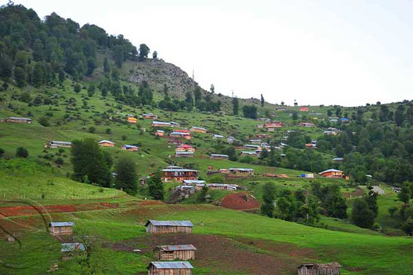 MASAL